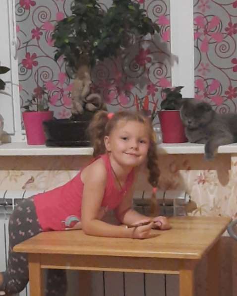 Котята в фото 3