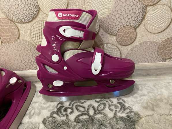 Котки в Тюмени