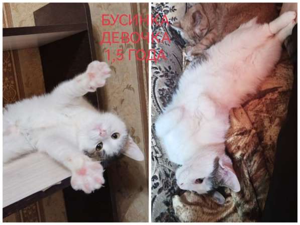 ПОЖАЛУЙСТА, НЕ ПРОХОДИТЕ МИМО!!! в фото 6