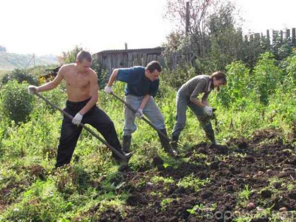 Уборка дачного участка, вывоз мусора, переезды