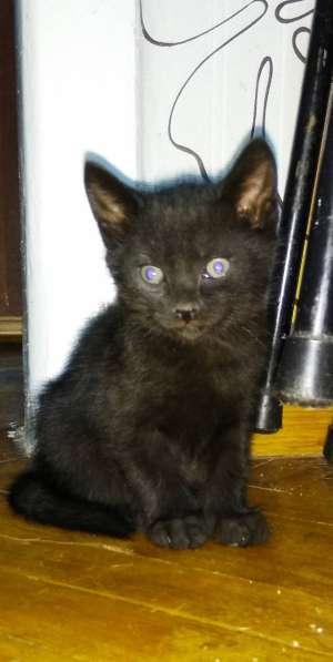 Счастье в дом в фото 4