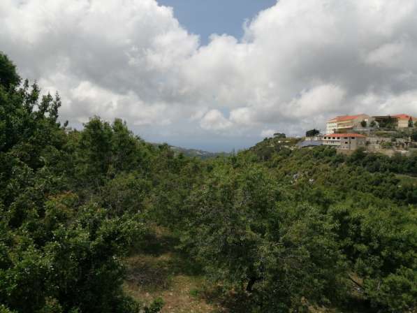 Land for sale in Lebanon, close to the sea, and quiet area