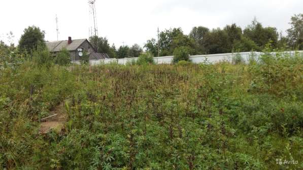 Участок 12 сот. (ИЖС) в Санкт-Петербурге фото 27