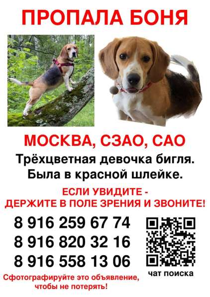 Пропала Боня