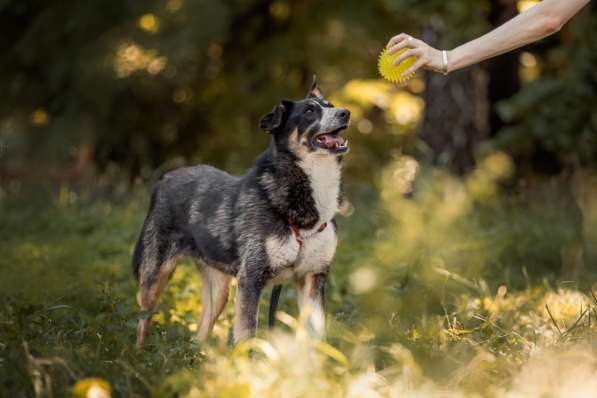 Том ищет дом в Москве фото 10