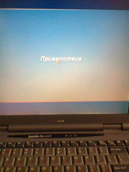 Belkin кабель SCSI F2N956-03 в Москве фото 10