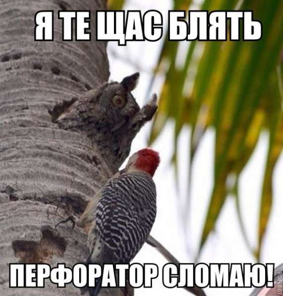 Муж на час в Томске фото 3