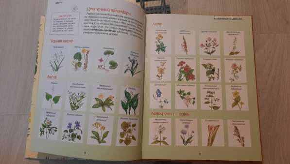 Книга о цветах в Курчатове