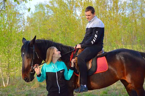 Романтическая конная прогулка в Нижнем Новгороде фото 5