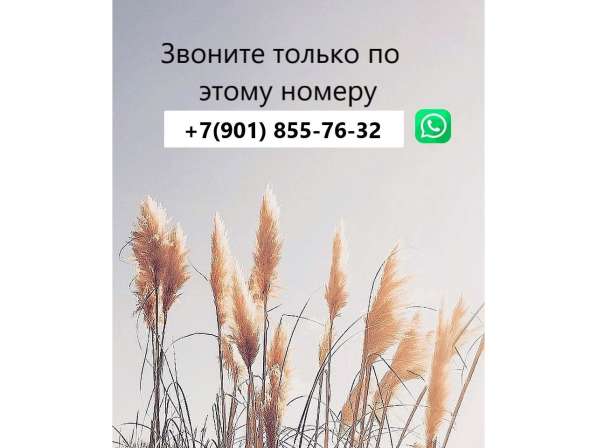 Сдам трехкомнатную квартиру на длительный срок в Елабуге фото 3