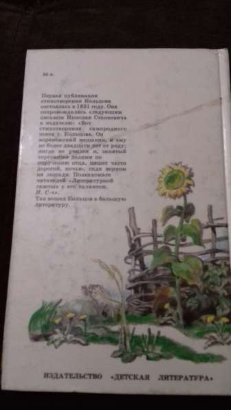 Стихи А. В. Кольцова в Екатеринбурге фото 3