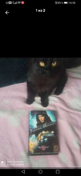 Книга чёрная молния