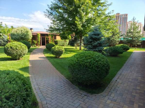 Ландшафтный дизайн. Озеленение в Краснодаре фото 6