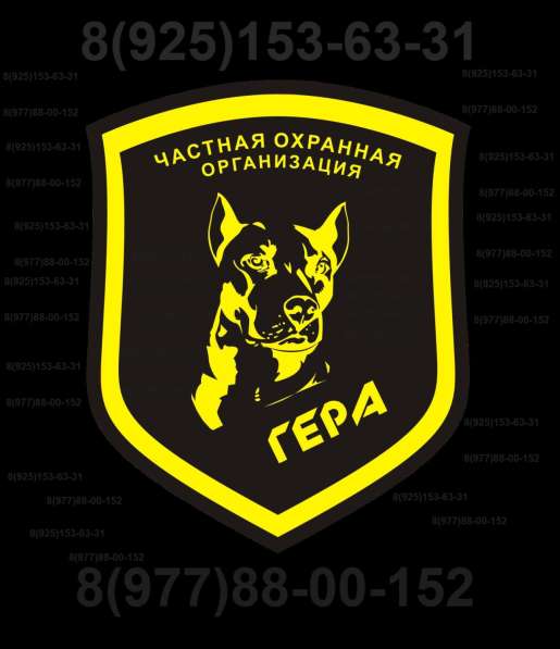 Обеспечение Физической Охраны Объектов