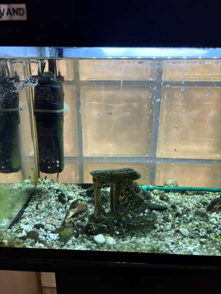 Аквариум для рыбок! в Москве фото 3