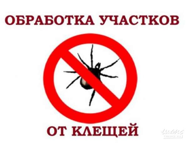Обработка от клещей, ос, муравьев и комаров в Ангарске