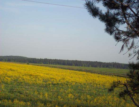 Продается земельный участок 10 соток под ЛПХ в д. Межутино, Можайский р-н, 143 км от МКАД по Минскому шоссе в Можайске фото 3