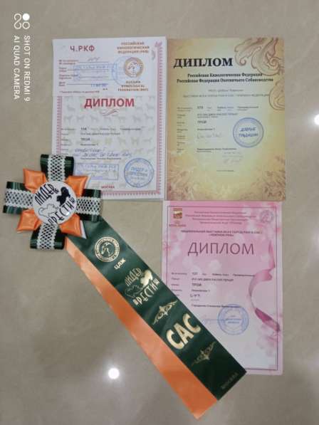 Вязка в Москве фото 6