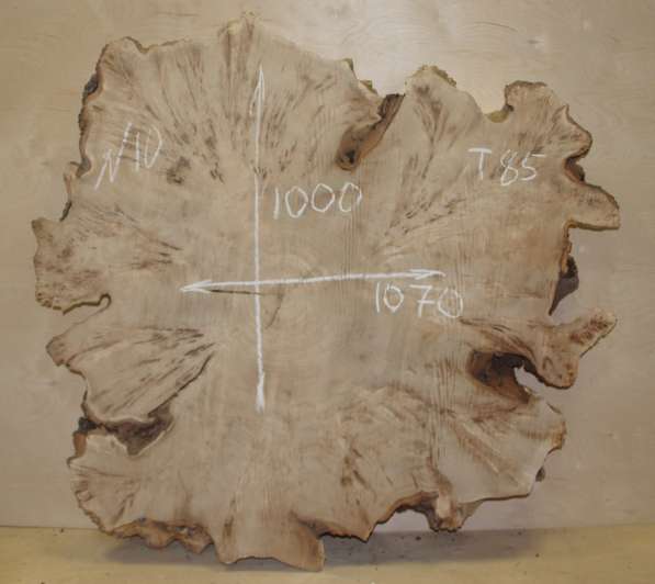 Продам слэбы поперечного капового тополя, Вл 8-10% в Москве фото 7