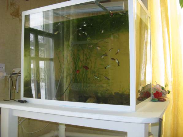 Продам аквариум, надёжный и крепкий, усиленный в Самаре