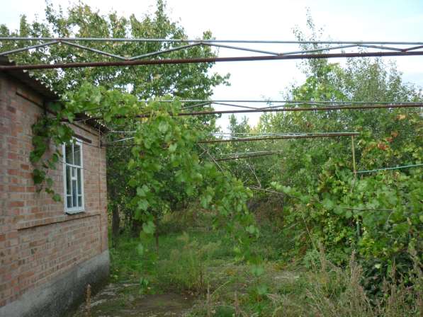 Продам дом 70 м2 в Некрасовасовой балке в Таганроге фото 15