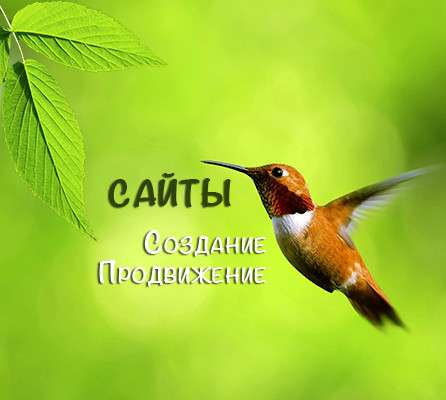 Создание сайтов и их продвижение в Москве