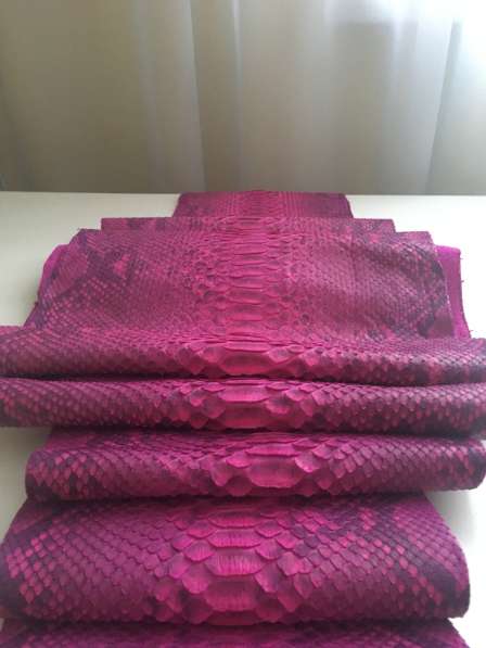 Кожа питона