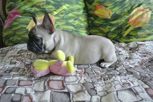 Продаётся девочка в Москве