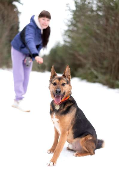 Добряк Стёпа ищет дом в Москве фото 7