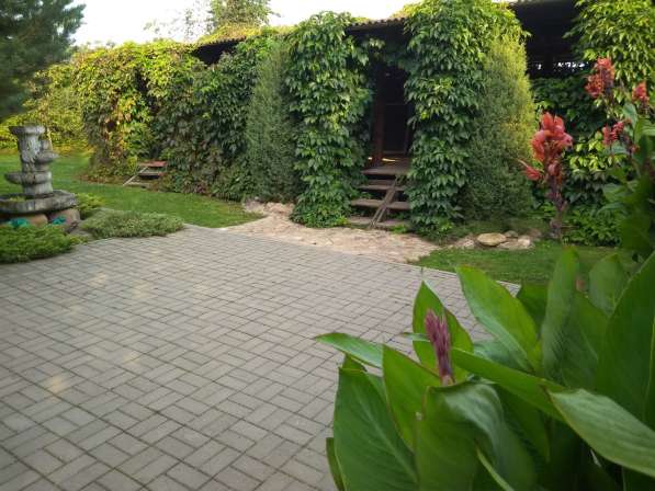 Агроусадьба под Минском на ЧМ в фото 13