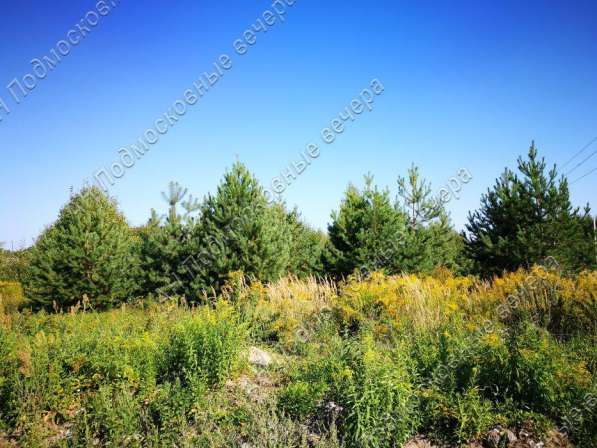 realty_mapper3.plot_in_locationСадовое некоммерческое тов-во. Площадь 12.00 сот.Есть Электричество. в Москве фото 15