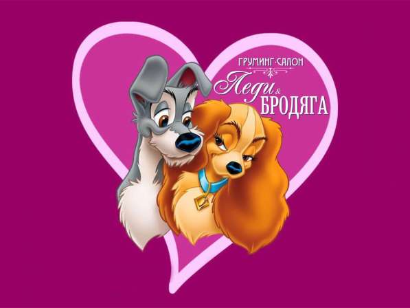 Стрижка (груминг) собак И кошек