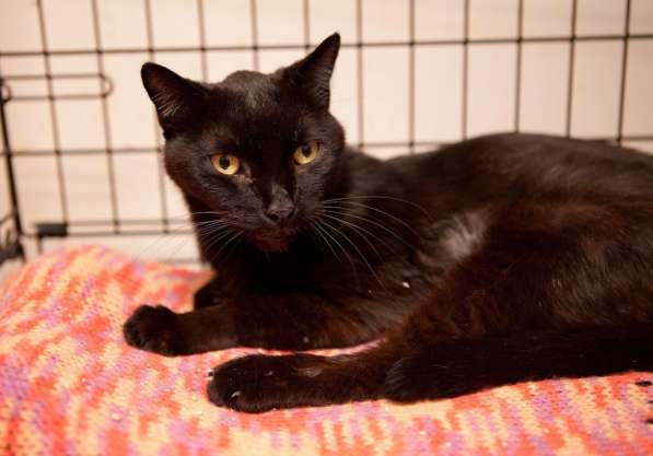 Добросердечный Мартин в ожидании счастья