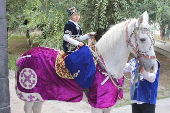 Конь в аренду в Алматы