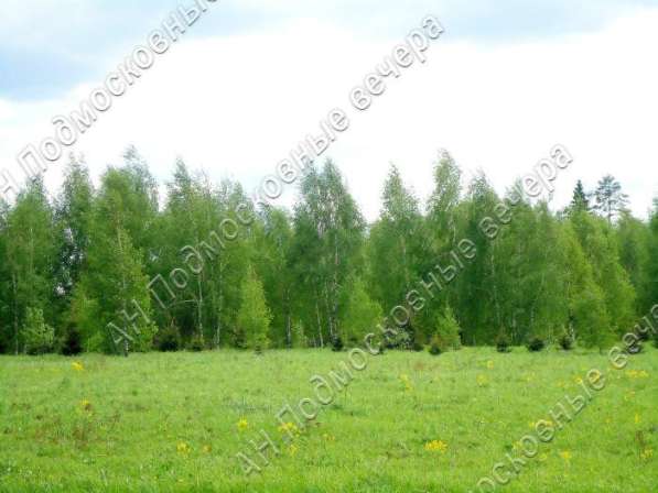 realty_mapper3.plot_in_locationПлощадь 253.00 сот.Есть Электричество, Газ. в Москве фото 43