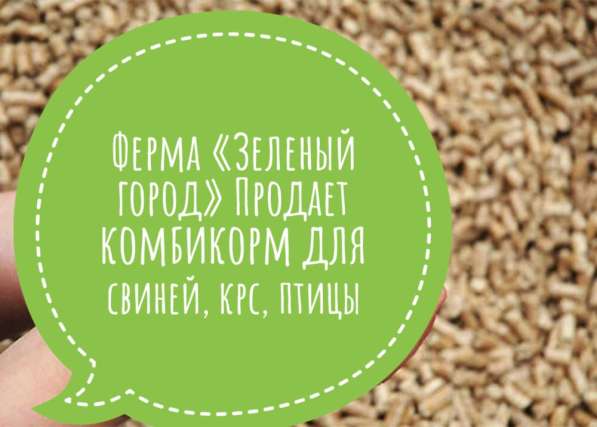 Ферма « Зелёный город» в Миассе