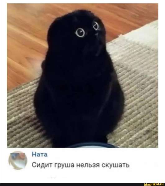 Dima, 37 лет, хочет пообщаться