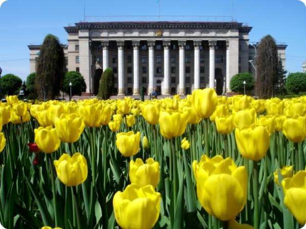 Весна в Казахстане! Сити Таун Алматы! в Хабаровске фото 3