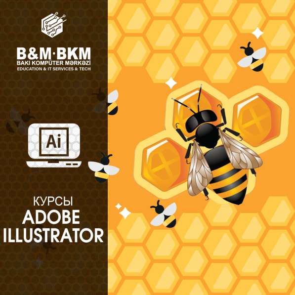 Курсы Adobe Illustrator