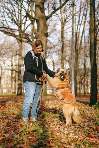 Принцесса Сента ищет дом! в Москве