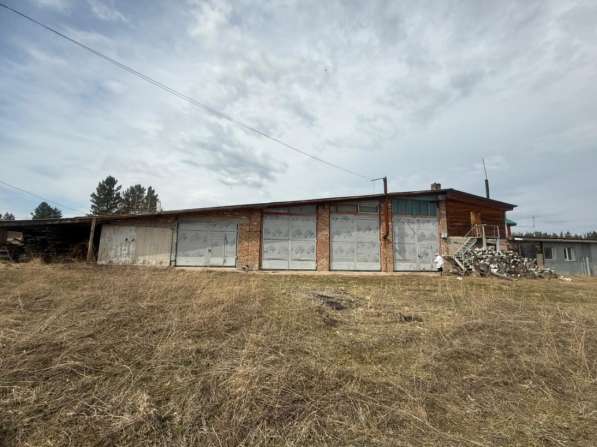 Ферма / Конюшня / Эко-хозяйство в Красноярске фото 8