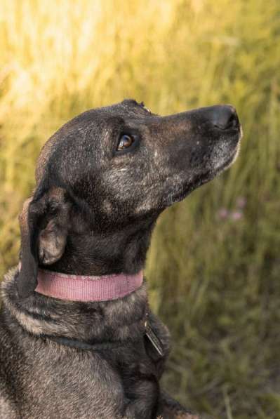 Люся ищет свою вселенную! в Москве фото 6