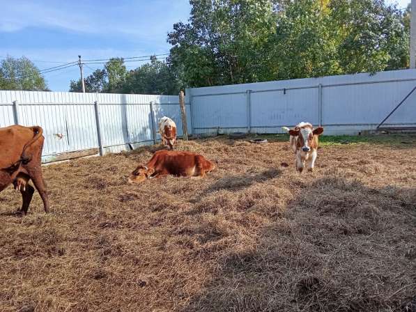 Продаю в Конаково