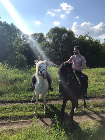 Прогулки на лошадях