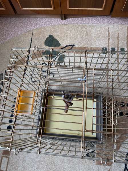 Клетка для попугая в Владимире фото 3