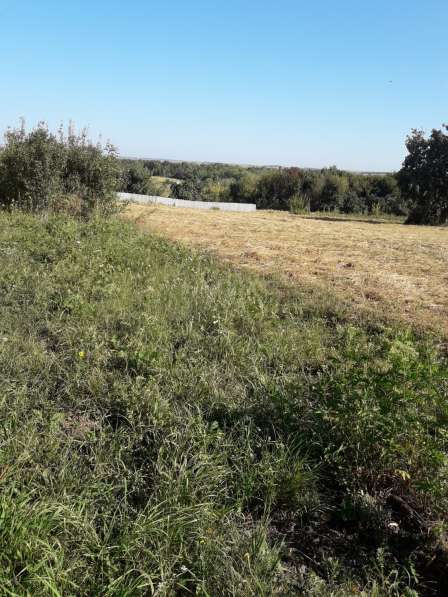 Продам земельный участок под ИЖС д. Пашково, Курский район в Курске фото 6