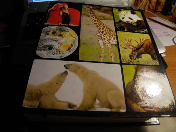 Развивающие сборники и мире животных в Анапе фото 5
