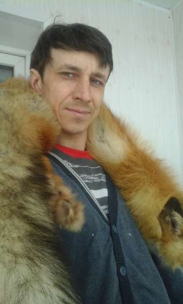 Обработка пушного и мехового сырья в Томске фото 3