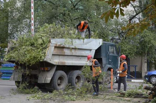 Удаление деревьев и зеленых насаждений по России под «Ключ» в Владимире фото 4
