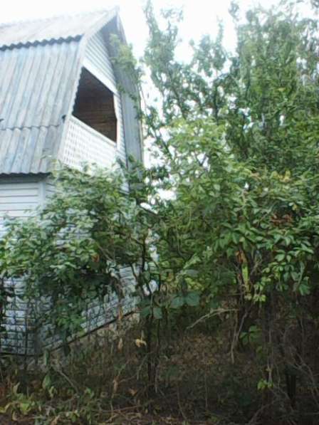 Продам участок с домиком в НТС Строитель-4, Добровский р-н в Липецке фото 3